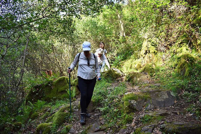 An Adventure Through the Schist Villages of Lousã (With Walk) - Pricing and Inclusions
