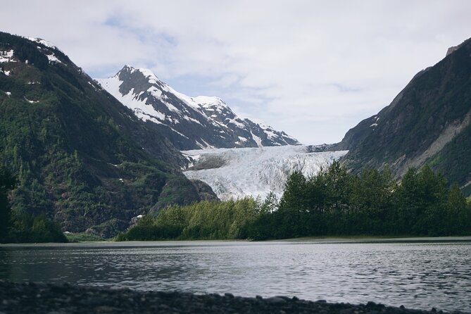 Anchorage to Seward- Pre-Cruise Curated Wildlife Tour +Transfer - Scenic Stops and Viewing Opportunities