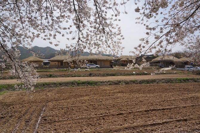 Andong Hahoe Folk Village [Unesco World Heritage] Private Tour From Seoul - Pricing Information