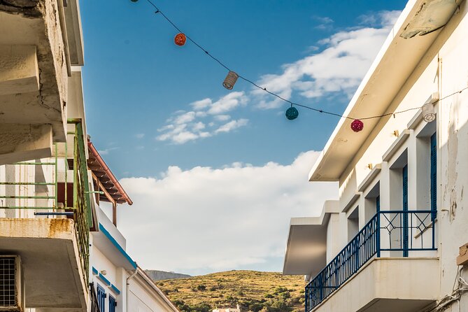 Andros Full Day Sightseeing Tour - Health and Accessibility Considerations
