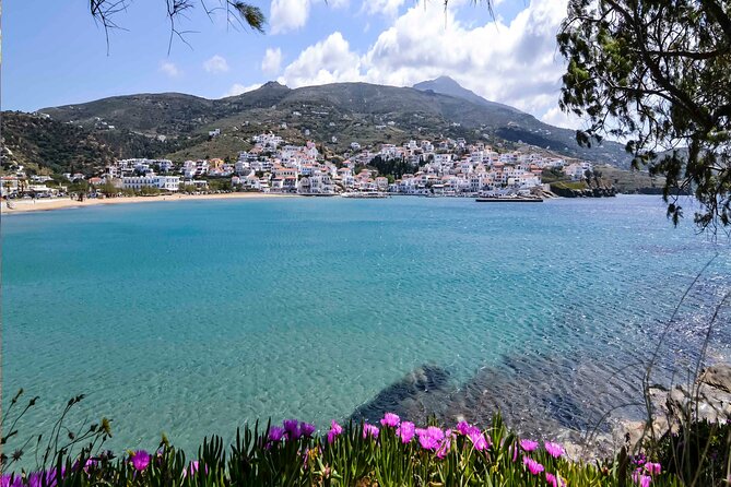 Andros Port to Batsi Private Transfer - Booking Process