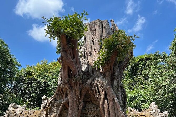 Angkor Sunrise & Sunset 2 Day Private Tour - Meeting and Pickup Details