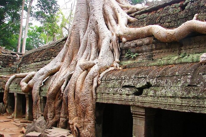 Angkor Wat Full-Day Private Tour - Meeting and Pickup Details