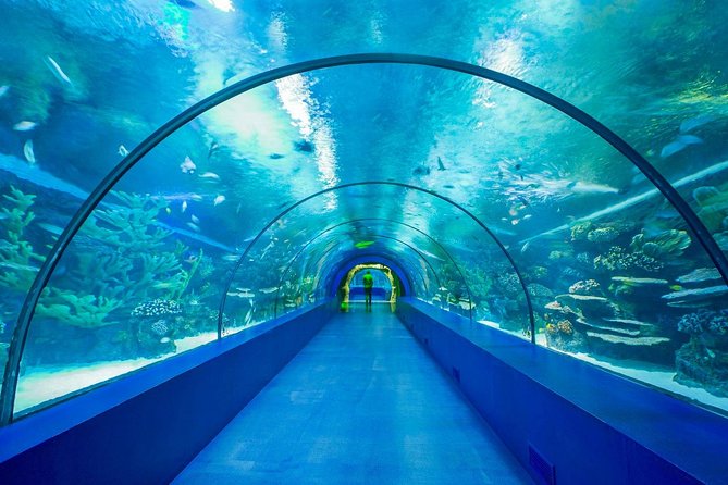 Antalya Aquarium Tour Platinium Tour - Meeting and Pickup
