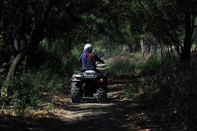 Antalya Quad Safari Experience by Local Experts - Highlight of Quad Safari Adventure