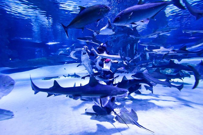 Antalya Tunnel Aquarium - Departure From Side - Free Time in Antalya Old City