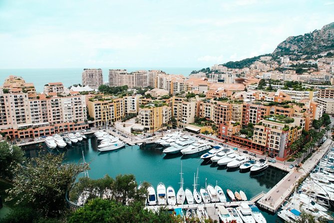 Antibes, Cannes, Eze, and Monaco Tour Review - Vehicle and Accessibility Details
