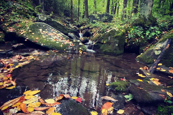 Appalachian Waterfalls Hike - What to Expect
