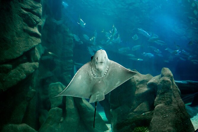 Aquario and Biopark Half-Day Tour - Booking Information