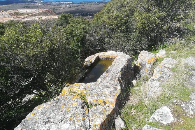Archaeological Tour Near Poreč - Accessibility Considerations
