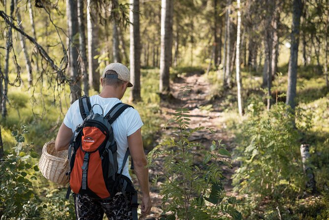 Arctic Midnight Sun Picnic From Rovaniemi - Learn About Native Flora
