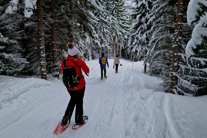 Arctic Snowshoe Hike in Norway - Transportation Options and Accessibility