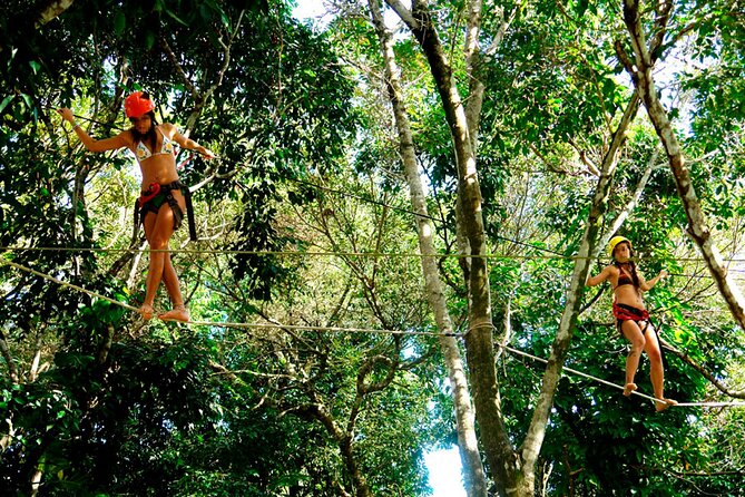 Arraial D'Ajuda Eco Park - Accessibility and Recommendations