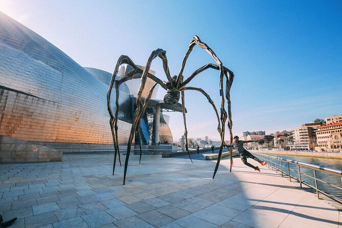 Arrival Private Transfers: Bilbao Airport BIO to Bilbao City in Luxury Van - Pickup and Drop-off
