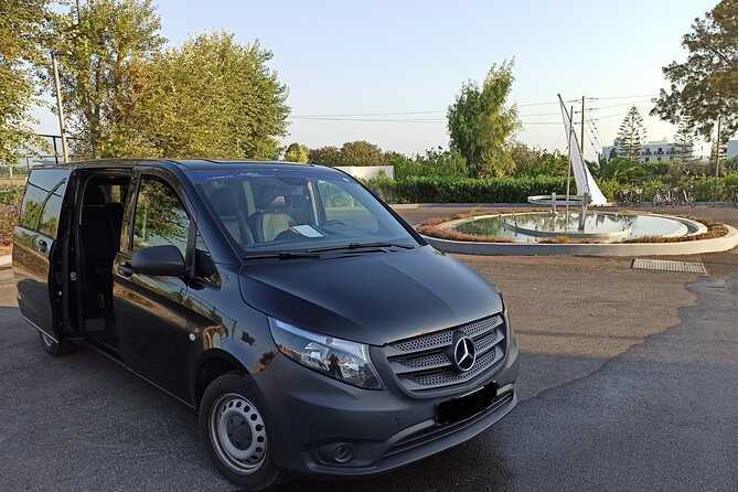 Arrival Transfer From Kos Airport - Luggage Assistance