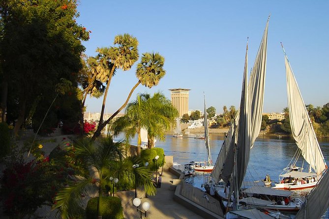 Aswan Botanical Garden & Private Felucca Tour - Accessibility and Participation