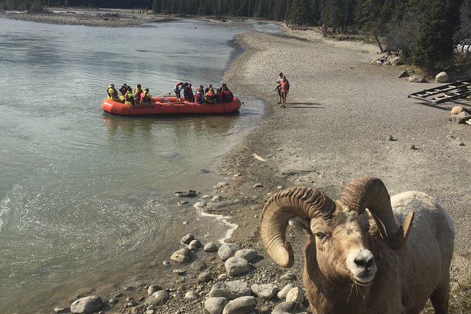 Athabasca River Easy Scenic Raft Trip - Ideal Participants for the Trip