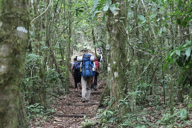 Atitlan Volcano Hike - Savoring the Lunch Break