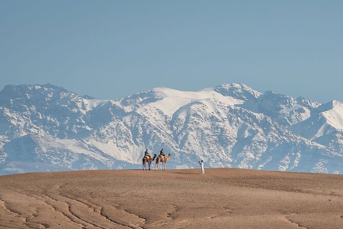 Atlas Mountains and Three Valleys & Waterfalls - Camel Ride Day Trip Marrakech - Reviews and Ratings