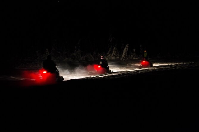 Aurora Sleighers Snowmobile Tour in Fairbanks - Health and Safety Guidelines