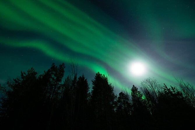 Aurora Trip and Snowshoes in Lake Rautusjarvi - Shared Experiences and Highlights