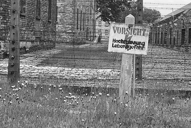Auschwitz-Birkenau Guided Tour From Krakow - Private Car - Knowledgeable Drivers