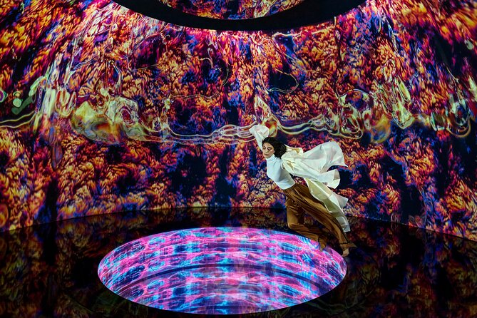 AYA Universe Entry Ticket - Accessibility and Visitor Information