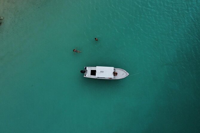 Bacalar Boat Tour and Visit to Cenotes - Traveler Experiences