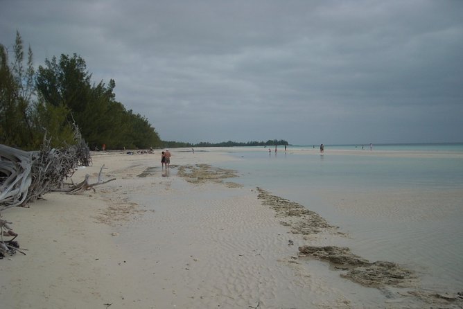 Bahamas Get-A-Round Bus Pass - Airport Transfers and Pickup