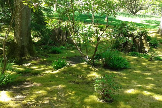 Bainbridge Island Nature Reserve Walk Review - Accessibility Considerations