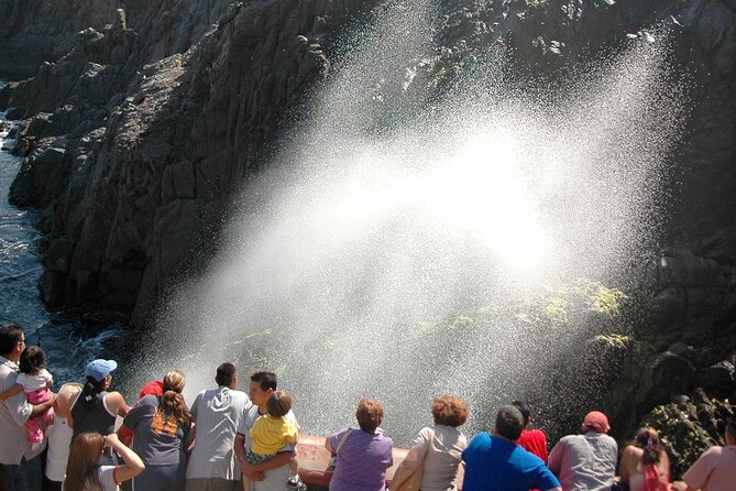 Baja Mexico One Day Regional Tour - Accessibility and Health Considerations