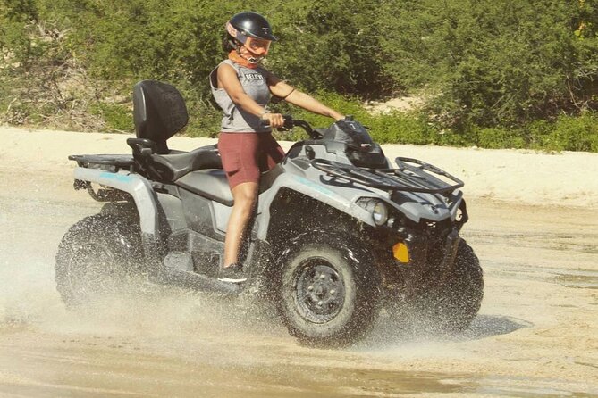 Bajas ATV Desert and Beach Tour - Customer Reviews