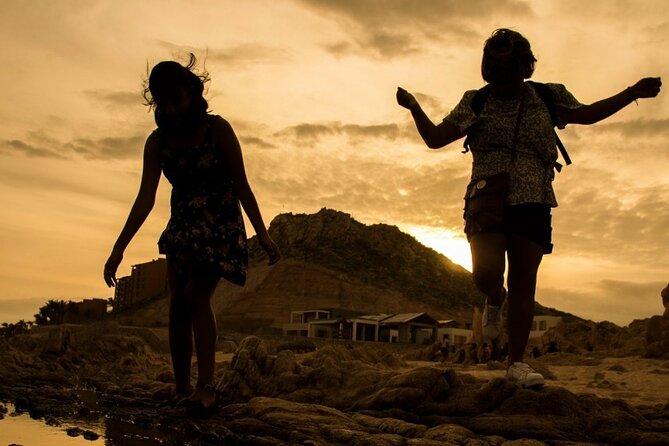 Balandra Beach & City Tour La Paz & Todo Santos Hotel California - Positive Feedback