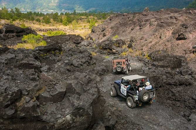 Bali Private Tour With English Speaking Driver Tour Guide - Included Attractions