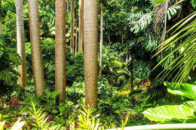 Barbados Botanical Tour - Meeting and Pickup