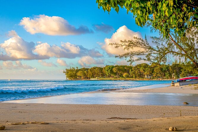 Barbados Reclaim Land Small Group Guided Tour in Pelican Island - Exploring Pelican Island