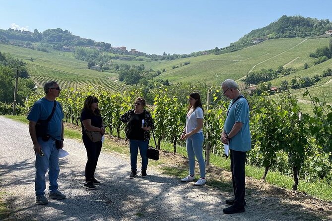 Barolo & Barbaresco Wine Tour With a Winemaker - Experience Highlights