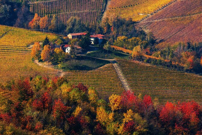 Barolo Wine Tasting, Alba, UNESCO Castle: Small Group From Milan - Traveler Ratings and Recommendations