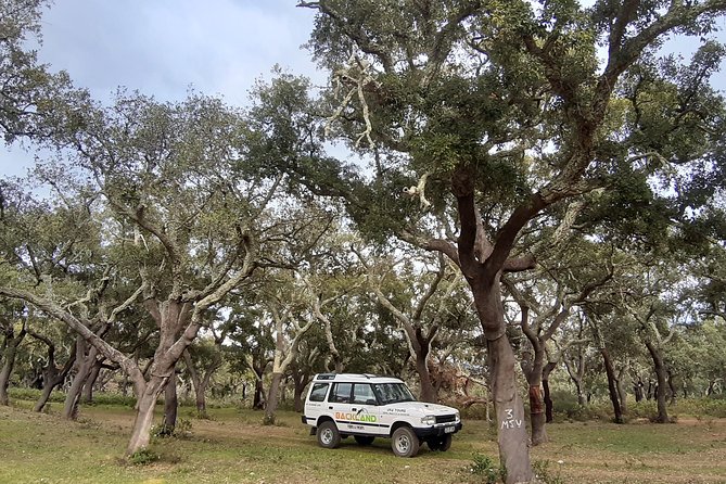 Barrocal Adventure - 4 Hours - Tour Duration and Itinerary