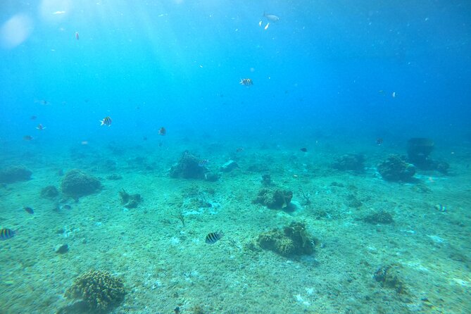 Bavarian Fiesta Snorkel Activity in Glass Bottom Boat at San Miguel De Cozumel - Booking and Cancellation Policy