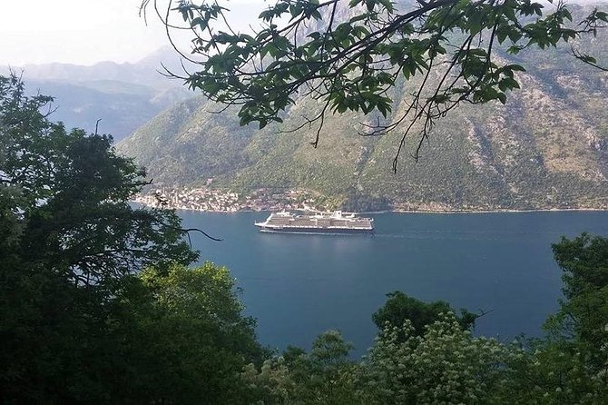 Bay of Kotor Hiking Experience - Montenegro Travel Club Private Tour - Health and Safety Requirements