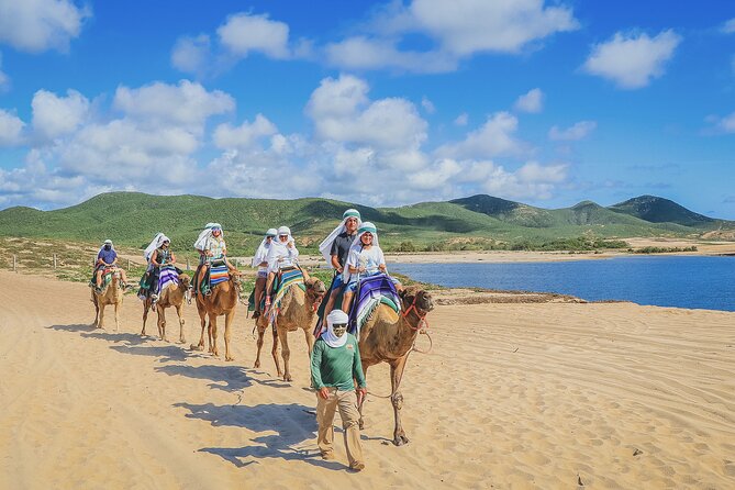 Beach Camel Ride & Encounter in Cabo by Cactus Tours Park - Inclusion Details