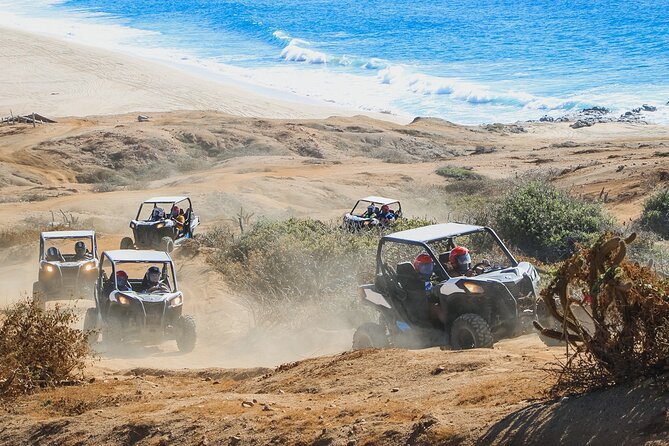 Beach & Desert UTV Tour in Cabo (Price per Person) - Participant Guidelines