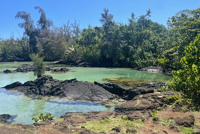 Beach Snorkel - Sea Turtle and Black Sand Lagoon - What to Expect on the Snorkel Adventure