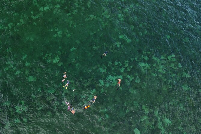 Beach Snorkeling Adventure in Lauderdale by the Sea - Exploring the Underwater World