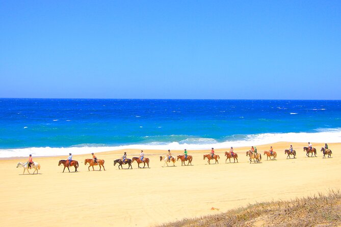 Beach UTV & Horseback Riding COMBO in Cabo by Cactus Tours Park - Pickup and Logistics
