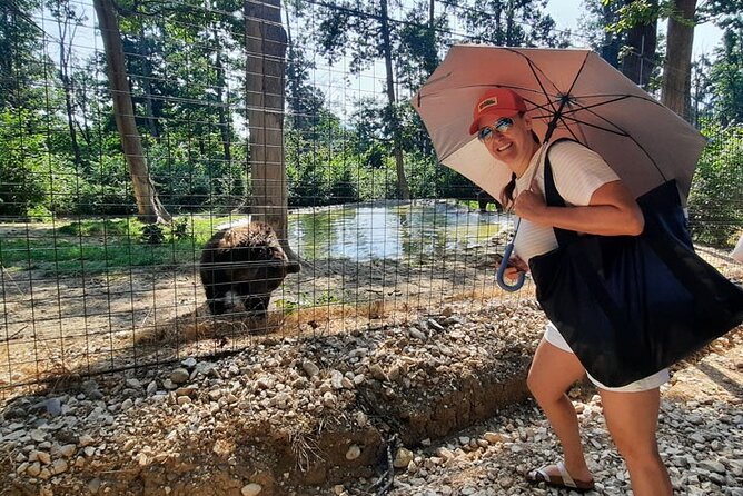 Bears Sanctuary, Dracula Castle and Poiana Brasov-Private Day Tour From Brasov - Discovering Bran Castles Legends