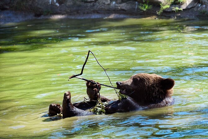 Bears Sanctuary & Dracula Castle - Tickets Included - Pickup Information
