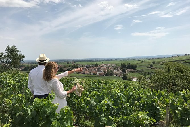 Beaune Small-Group Wine Tasting and Vineyard Tour, Plus Lunch - Picturesque Villages and Lunch