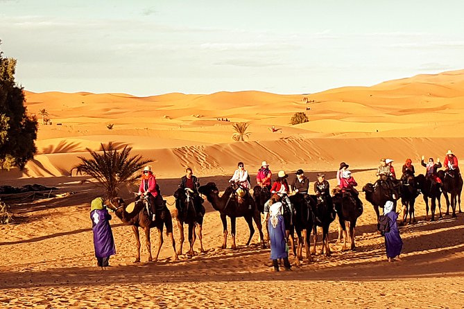 Best Casablanca Desert Trips - Culinary Delights of Morocco